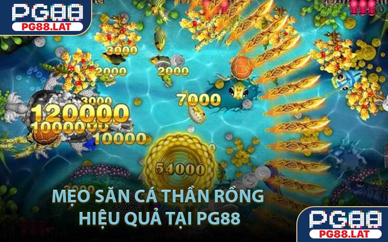 Mẹo Săn Cá Thần Rồng Hiệu Quả Tại PG88