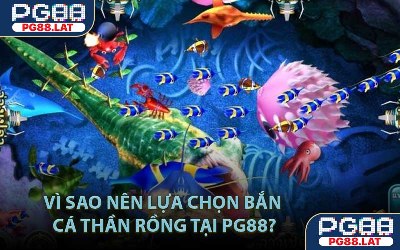 Vì sao nên lựa chọn Bắn Cá Thần Rồng tại PG88?